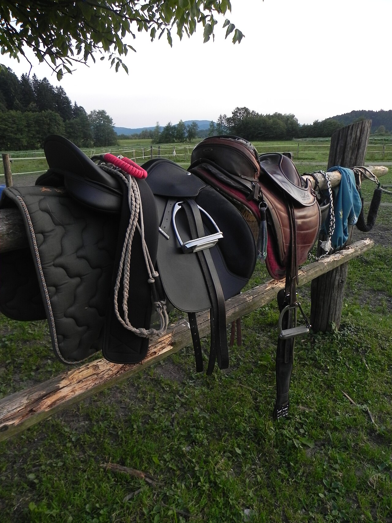 Comfort saddle pad